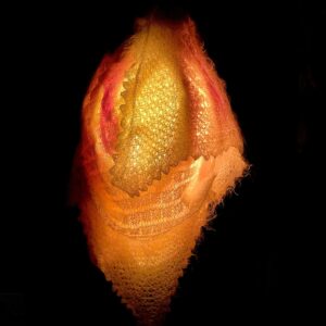 CARING FOR ‘STRANGERS’? HOW (NOT)?